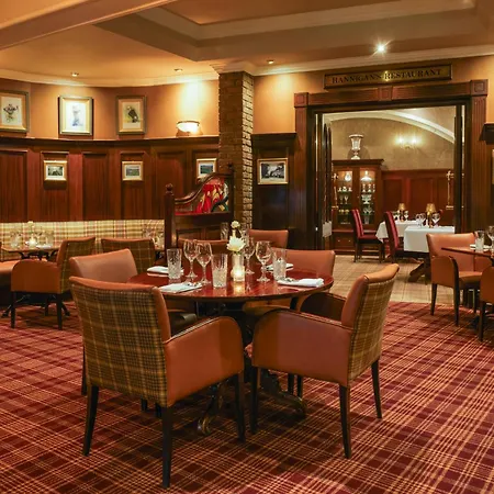 Готель International