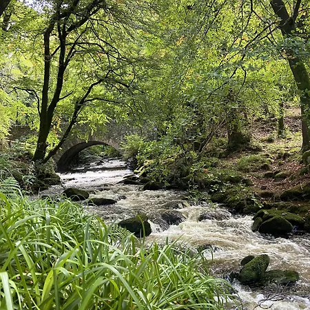 Готель International 4*