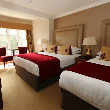 Hotel International