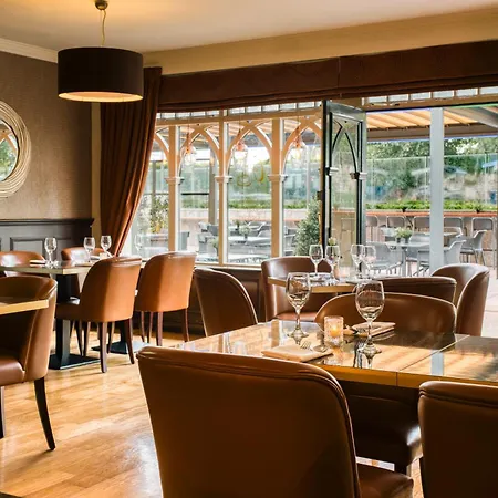 International 4* 킬라니