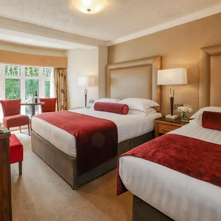 Hotell International