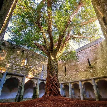 International Szálloda