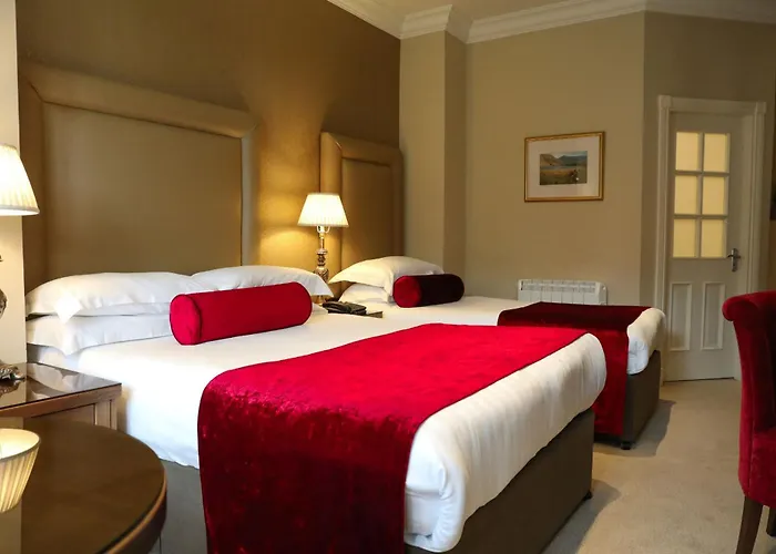 International 킬라니