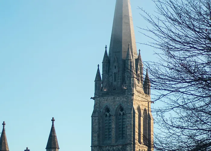 International 4* 킬라니