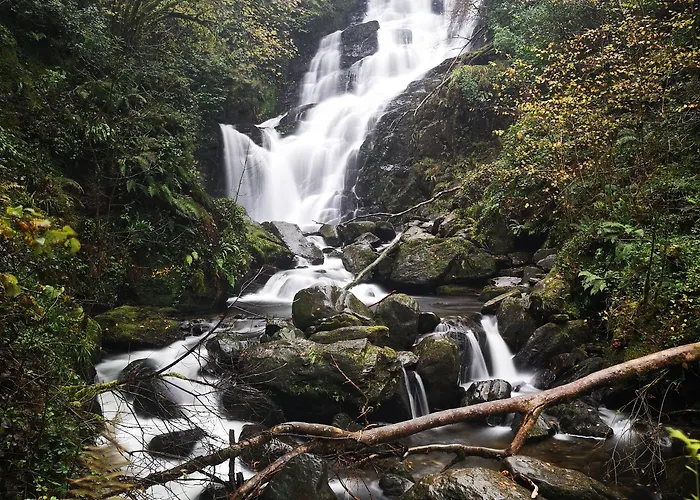 Hotel International Killarney